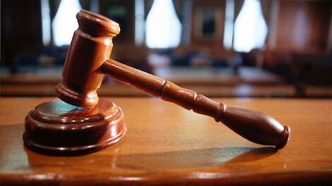 Bloembollenbedrijf uit Noordwijk mag uitbreiden, buren verliezen rechtszaak over vergunning