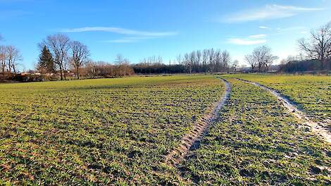 Oorlog laat graannoteringen stijgen