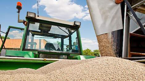 Nitrificatieremmers als belangrijke maatregel voor efficiëntere stikstofbenutting