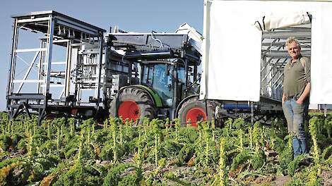 Boerenkooloogst deels geautomatiseerd in Nieuwe Niedorp: ‘Verlichting van arbeid van groot belang’