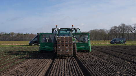 Brabantse preiteler is dagen eerder door planten vast te drukken in plaats van ponsgaten
