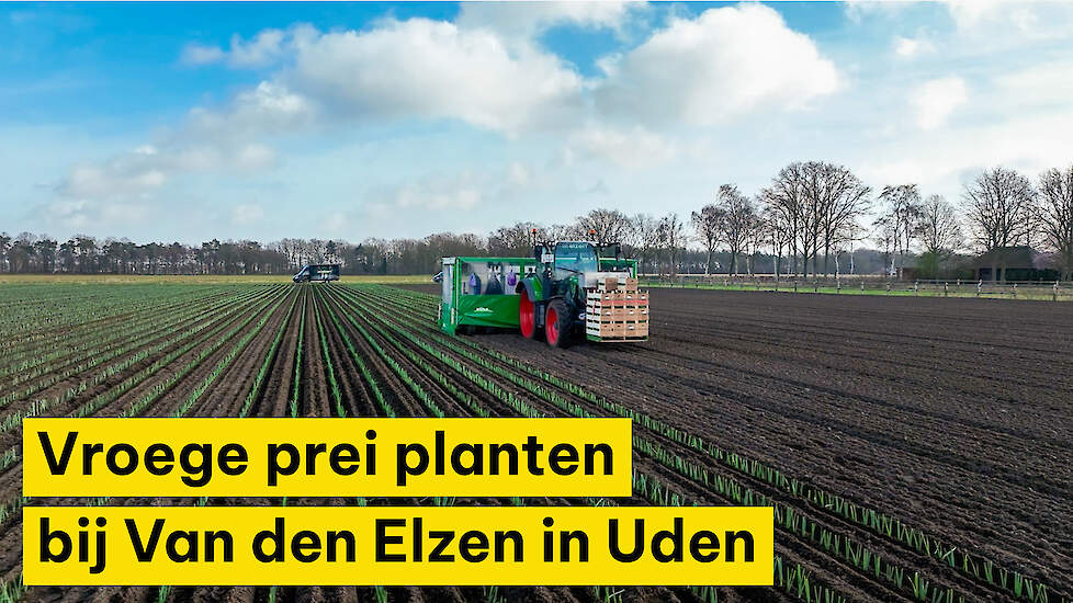Brabantse preiteler is dagen eerder door planten vast te drukken in plaats van ponsgaten