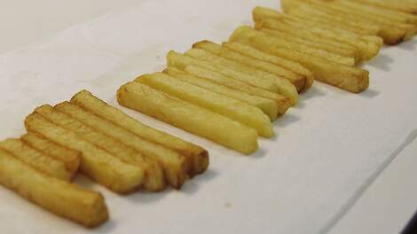 Colombiaanse markt weer open voor Nederlandse friet