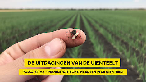 Problematische insecten in uienteelt | Topgewas Podcast #2 Miniserie over uien
