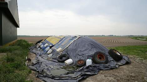 NAK controleert weer op juist afdekken aardappelafvalhopen