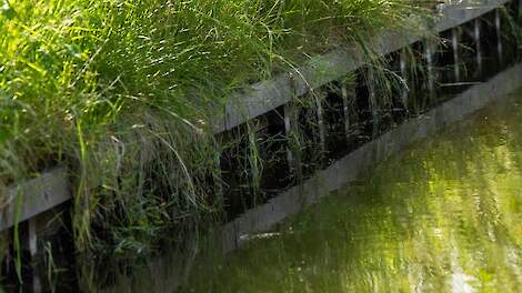 Rijnland: Daling waternormoverschrijdingen gaat te langzaam