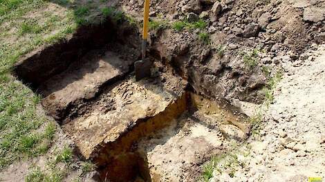 ‘Praktijkbewijs koolstofrijk boeren past in Europese wetenschapstraditie’