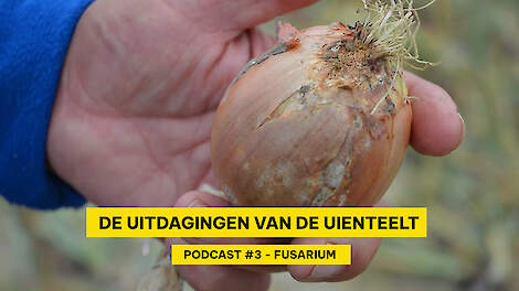 Fusarium zorgt voor forse opbrengstderving  | Topgewas Podcast #3 Miniserie over uien