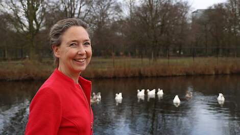 ACM biedt ruimte voor duurzame ketenafspraken, initiatieven nog schaars