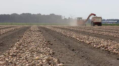 Fusariumtoets: Tien procent van bemonsterd areaal heeft zware besmetting