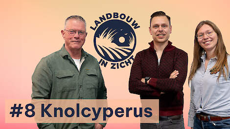 Video: ‘Doorbreek het taboe rond knolcyperus, het is één voor twaalf’