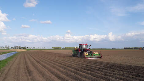 Met gelijkmatige groei naar veel kilo’s en mooi tal