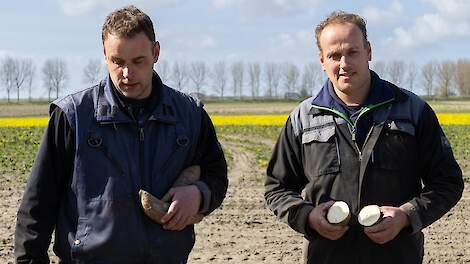 Nationale Aardappelweek tegen verspilling van 500 miljoen kilo aardappelen