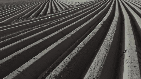 Voorjaar – handige tips voor het poten