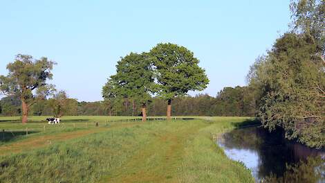 Agrifacts: Hoger nitraatgehalte na invoering bufferstroken