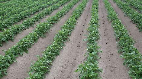 'Onkruid is een permanent proces en betekent niet enkel spuiten'