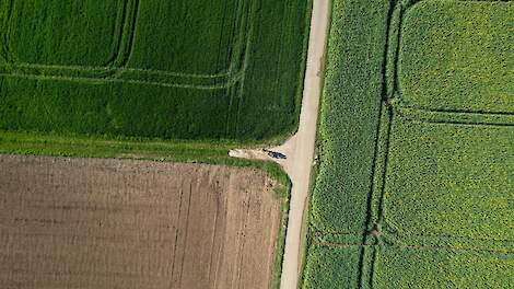 Beslisschema helpt bij onkruidbeheersing