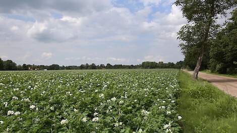 Gelderland schrapt spuitvrije zones nabij Natura 2000-gebieden