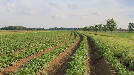 Strenge voorwaarden bij landbouwvrijstelling en vruchtwisseling