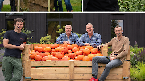 Gelders pompoenenbedrijf maakt kans op Ekoland Innovatieprijs