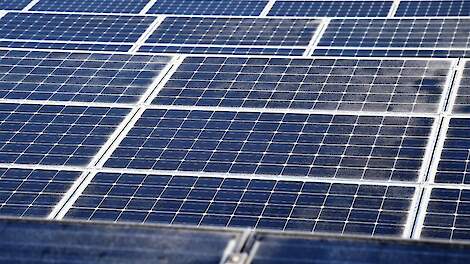 Raad van State moet zich uitspreken over zonnepark op 50 hectare bollengrond nabij Callantsoog