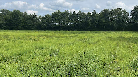 Van taboe naar aanpak