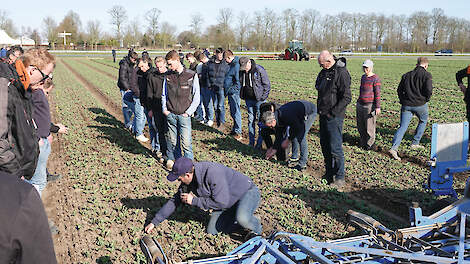 ‘Wieden in tulpen is ook een kwestie van durven’