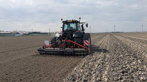 Zeventig procent van uienareaal gezaaid