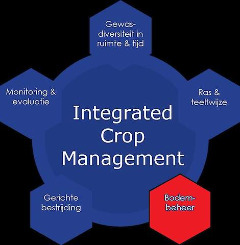 In deze eerste video van een serie, waarin we de bietenteelt door het jaar heen volgen, wordt het vakje 'Bodembeheer' in het ICM-model behandeld.