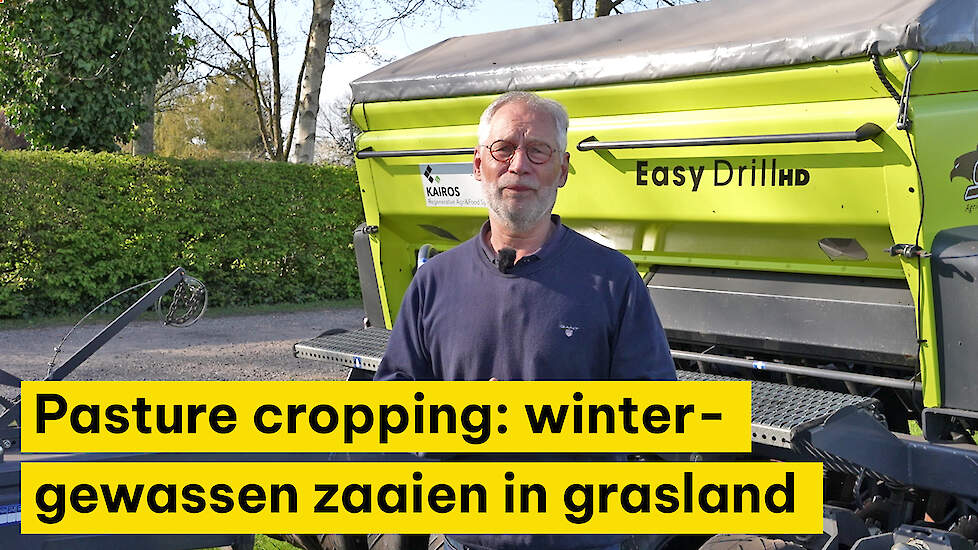 Pasture cropping: wintergewassen zaaien in grasland