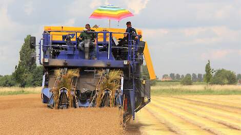 Risico op huidkanker in akkerbouw wordt onderschat: ‘Weren, kleren en smeren’