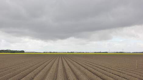 Erkens schetst contouren convenant Gewasbescherming: KPI-sturing en gebiedsgerichte aanpak