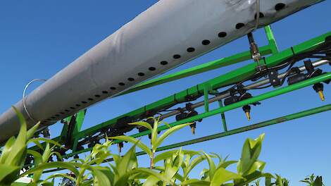 Drenthe moet huiswerk opnieuw doen: lelietelers langer in onzekerheid