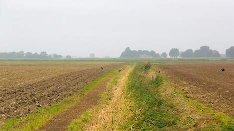 Nauwelijks beweging in grondmarkt: amper 2 procent wisselt van eigenaar