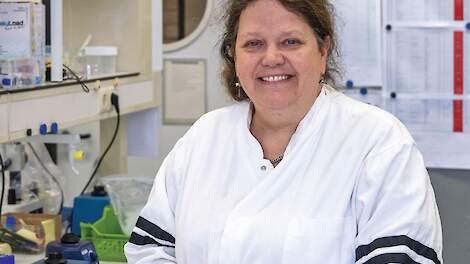 'Meer problemen met mycotoxinen door wegval van gewasbeschermingsmiddelen en klimaat'