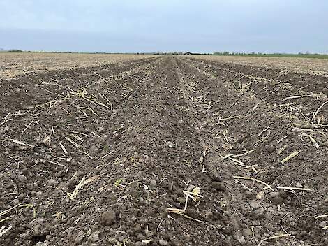 DSV TerraLife SolaRigol groenbemester