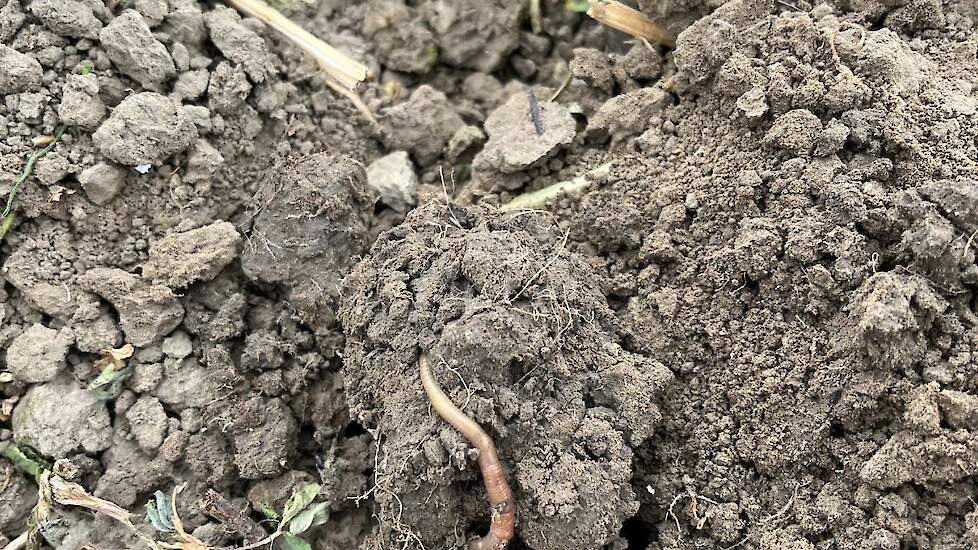 "De structuur is veel ruller en luchtiger dan vroeger," aldus Nicole Bil.