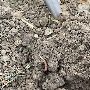 "De structuur is veel ruller en luchtiger dan vroeger," aldus Nicole Bil.