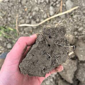 De verbeterde bodemstructuur heeft nog een ander voordeel: de capillaire werking