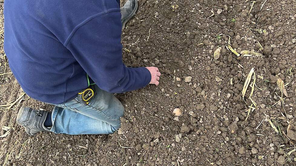 Sjaak Bil bekijkt de bodem tijdens het poten van de aardappelen.