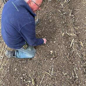 Sjaak Bil bekijkt de bodem tijdens het poten van de aardappelen.