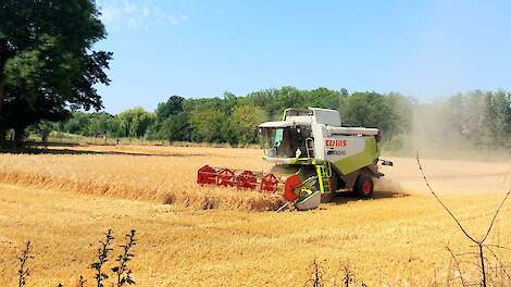 Droogte, valutaschommelingen en olieprijs bepalen mondiale graanprijzen