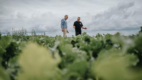 Column: De week van een bedrijfsspecialist: tussen cijfers en mensen