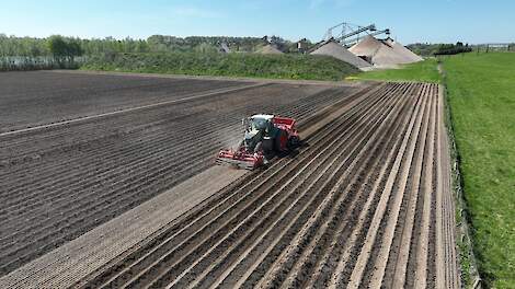 Aardappelen poten in de Gelderse Ooijpolder onder goede omstandigheden