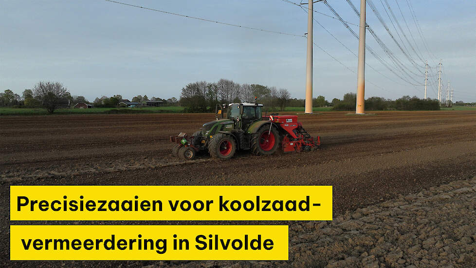 Zaaien voor koolzaadvermeerdering vraagt om precisie