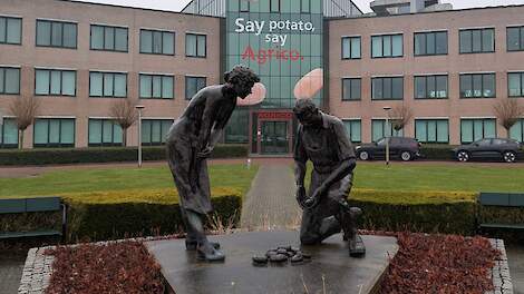 Indicatieprijs Agrico oogst 2025 valt flink lager uit