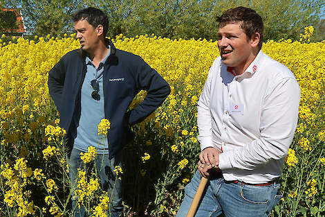 akkerbouwer Leendert Hanse en productmanager Martijn van Overveld bespreken winterkoolzaad teelt in veld Ellemeet