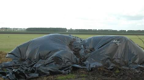Eerste melding phytophthora in zuidwesten van het land