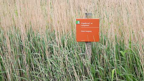 Brede handhaving op middelgebruik nabij Friese Natura 2000-gebieden