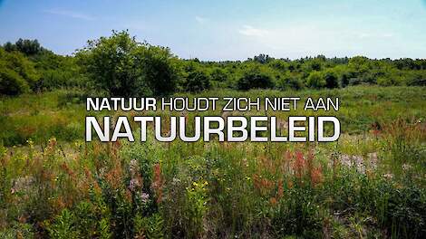 Première documentaire Natuur houdt zich niet aan natuurbeleid